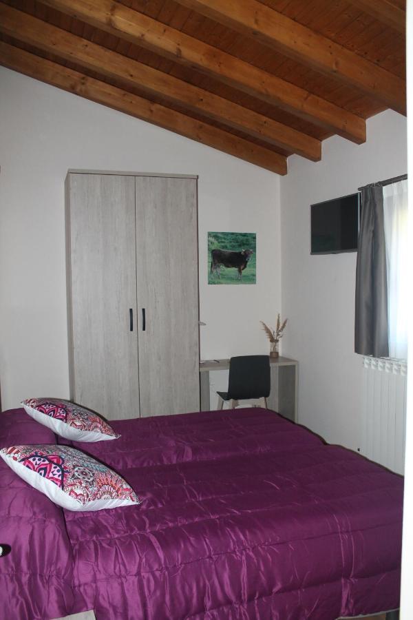 Hotel Rural Rio Molinar Ranera Kültér fotó