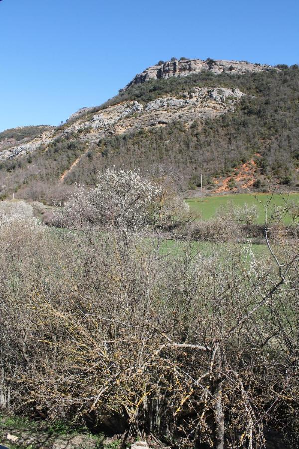Hotel Rural Rio Molinar Ranera Kültér fotó